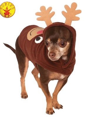 Reindeer Hoodie *Pet Shop