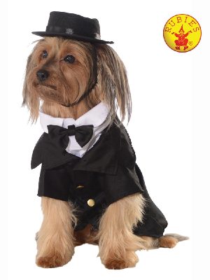 Dapper  Dog Costume *Pet Shop Boutique