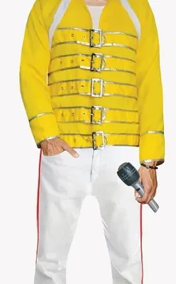 Champion Rock Star Mens Costume By Partilicious