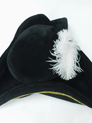 Pirate Hat with White Feather Gold Trim