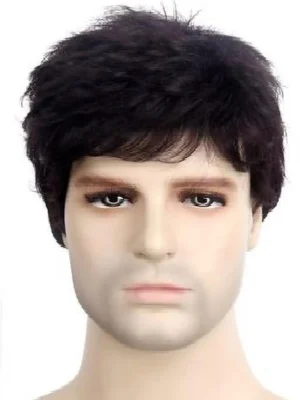 Mens Short Black Band Member Wig Straight
