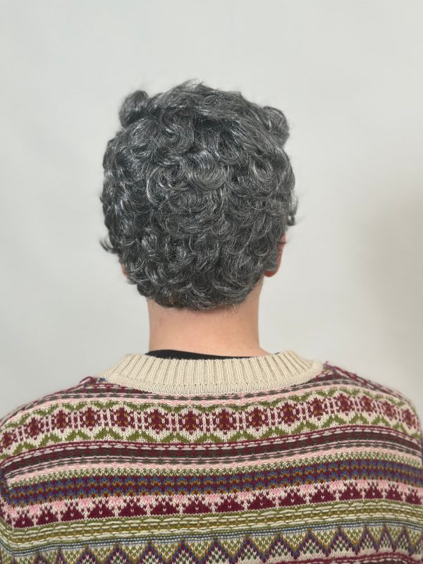 Grandpa Old Man Short Grey Curls Wig By Allaura - SALE - Image 2