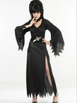 Daughter of Darkness Elvira Inspired Costume By Carnival
