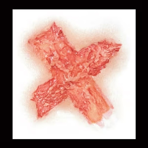 Cross Brand 3D FX Transfers Small By Tinsley Transfers - Image 3